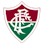 Icon: Fluminense FC RJ