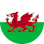 Icon: Wales U17