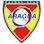 Icon: Aragua FC