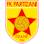 Icon: FK Partizan Tirana