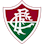 Icon: Fluminense Feminino