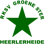 Icon: Groene Ster