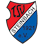 Icon: TSV Steinbach