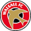 Icon: Walsall FC