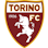 Icon: Torino
