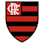 Icon: Flamengo Feminino