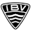 Icon: IBV