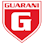 Icon: Guarani MG