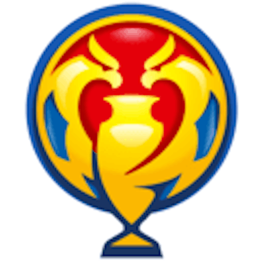 Icon: Supercupa României