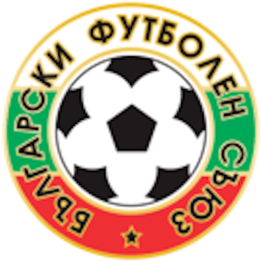 Icon: Bulgarian Cup