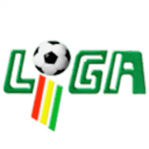 Logo: Bolivian Relegation Play-off