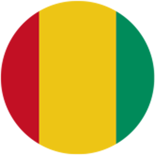 Logo : Guinée