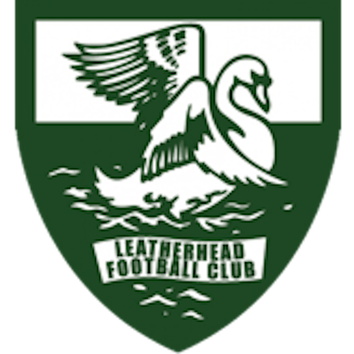Logo : Leatherhead