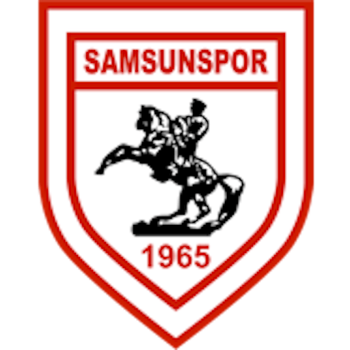 Logo : Samsunspor