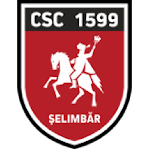 Logo: ACS Viitorul Selimbar