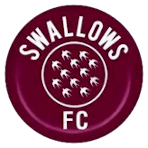 Symbol: Swallows FC