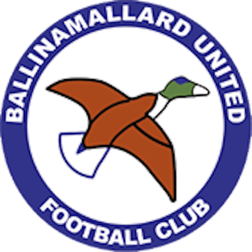 Logo : Ballinamallard United