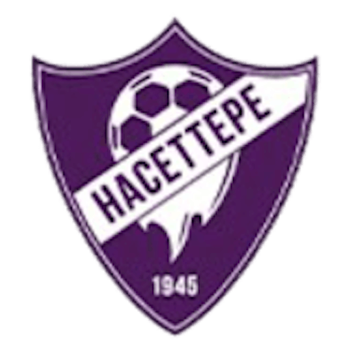Logo : Hacettepe 1945