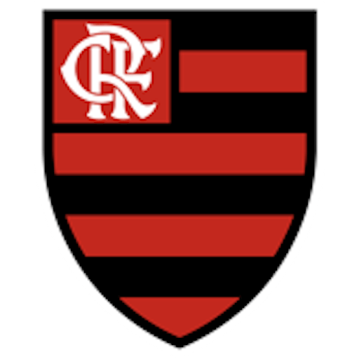 Logo: Flamengo Feminino
