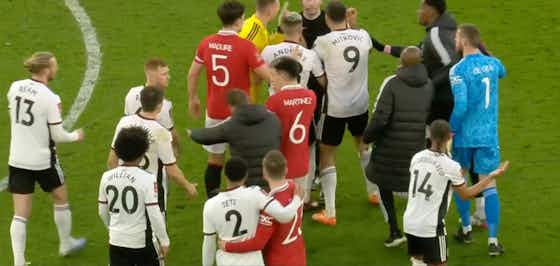 Imagen del artículo:📸 Mitrović, mani addosso all'arbitro! Il Fulham becca 3 🟥 in 40 secondi