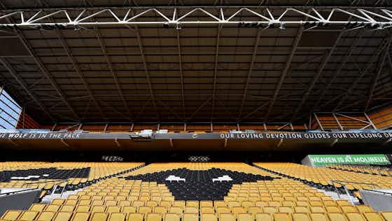 Article image:Wolves: Fosun 'will be worried' over key failure at Molineux