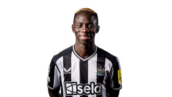 Article image:These summer Newcastle United signings are not what many fans are expecting