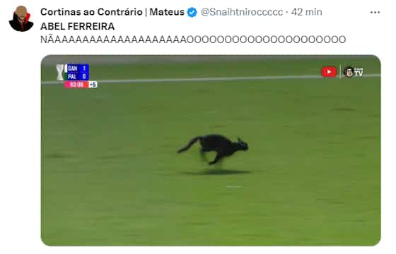 Imagem do artigo:😂 Reações após jogo na Vila têm Gato que fugiu do pacto, Pep Carille e +