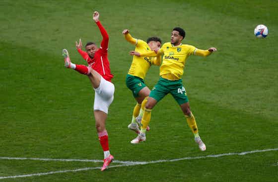 Article image:Championship rival and international teammate issues exciting verdict on Norwich City summer signing
