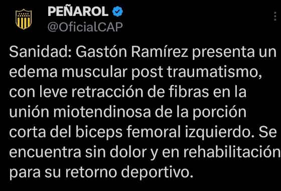 Imagen del artículo:Gastón Ramírez no estará frente a Miramar