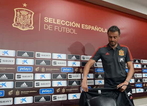 Article image:Luis Enrique steps down as Spain boss