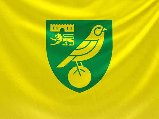 Imagem do artigo:Norwich City lança novo escudo para 2022-2023