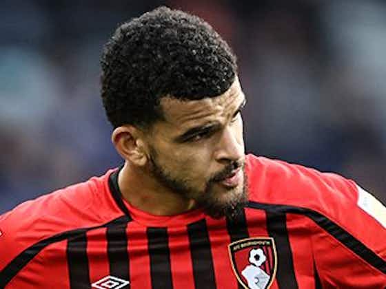 Article image:Bournemouth reveal response to Newcastle interest in striker
