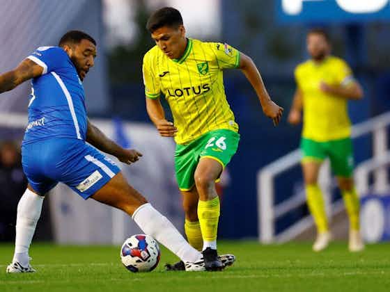 Article image:Championship rival and international teammate issues exciting verdict on Norwich City summer signing