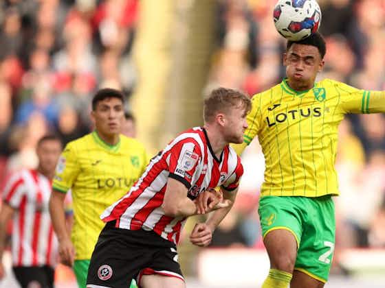 Article image:“I definitely would” – Sheffield United fan pundit issues verdict on the prospect of club signing Man City man