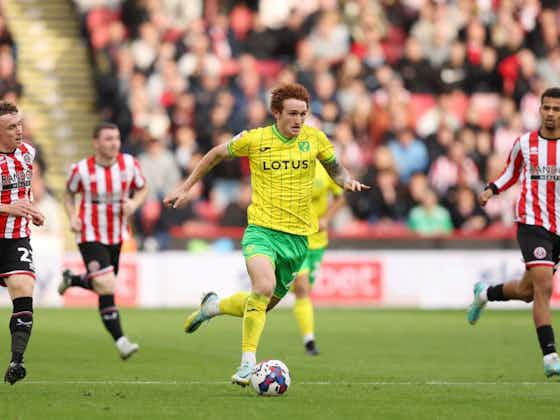 Article image:Norwich City player suffers major injury worry in World Cup clash