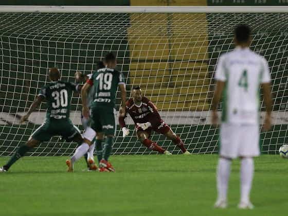 Imagem do artigo:Guarani defende invencibilidade de 18 anos ante Palmeiras em Campinas
