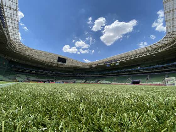 Imagem do artigo:Palmeiras vende 15 mil ingressos para jogo diante da Ponte Preta
