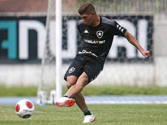 Imagem do artigo:Erison, do Botafogo, evita comparação com Rafael Navarro: ‘Ele é ele, eu sou eu’