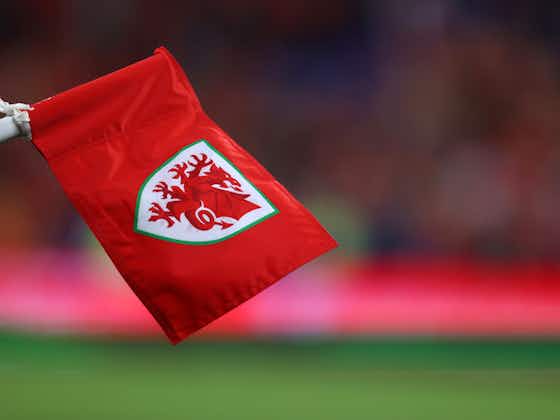 Article image:Former Wales international passes away after collapsing mid-game