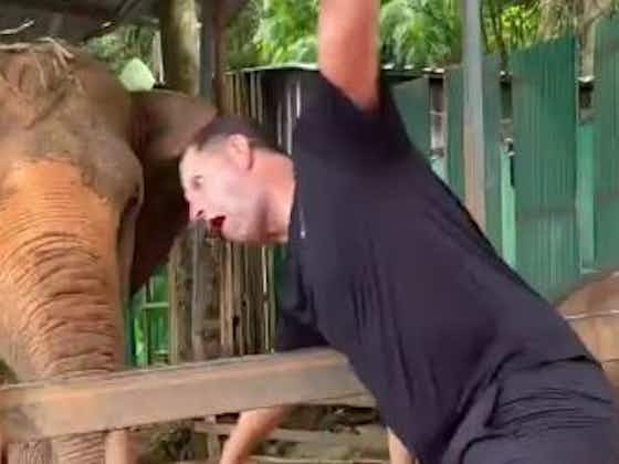Article image:(Video) John Achterberg has his family in hysterics as he feeds elephants on family holiday