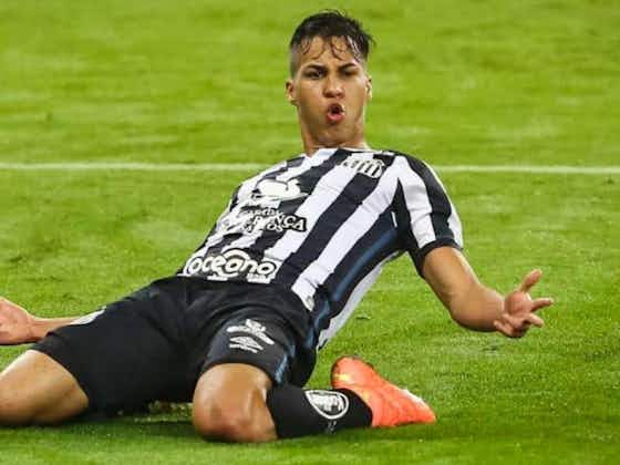 Article image:Juventus man could return to South America in January