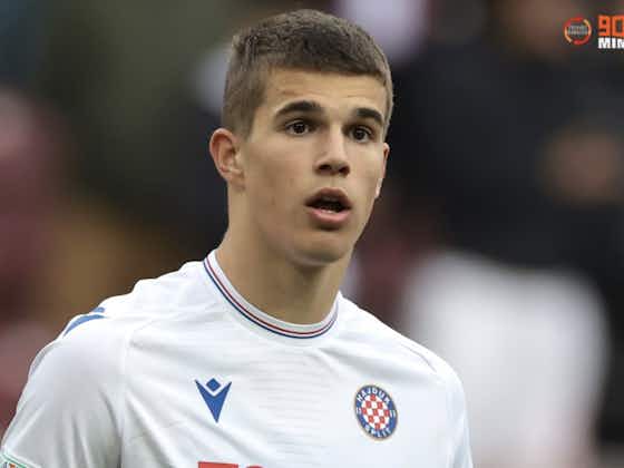 Article image:Tottenham beat Man City & PSG to Croatian teenager Luka Vuskovic