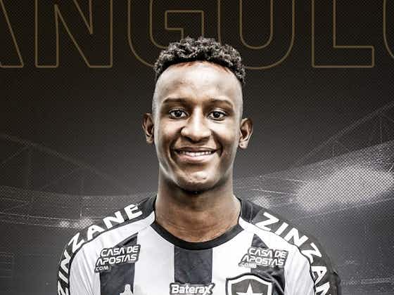 Imagem do artigo:Botafogo anuncia a contratação de Ivan Angulo, do Palmeiras