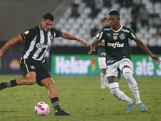 Imagem do artigo:Confira os bastidores da vitória do Palmeiras sobre o Botafogo