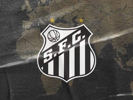 Imagem do artigo:Tatiele Silveira deixa cargo de técnica da equipe de futebol feminino do Santos FC