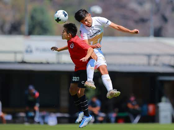 Imagen del artículo:Los Pumas Sub-14 avanzaron a las semifinales 