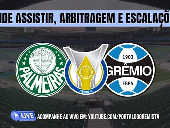 Imagem do artigo:Como assistir Palmeiras x Grêmio AO VIVO pelo Brasileirão Feminino