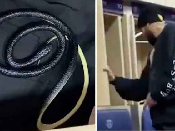 Article image:Video: Neymar Frightened After PSG Teammates Put Fake Snake In His Locker