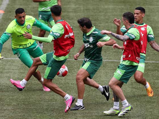 Imagem do artigo:Com retorno de convocados, Palmeiras treina no novo gramado do Allianz antes de decisão