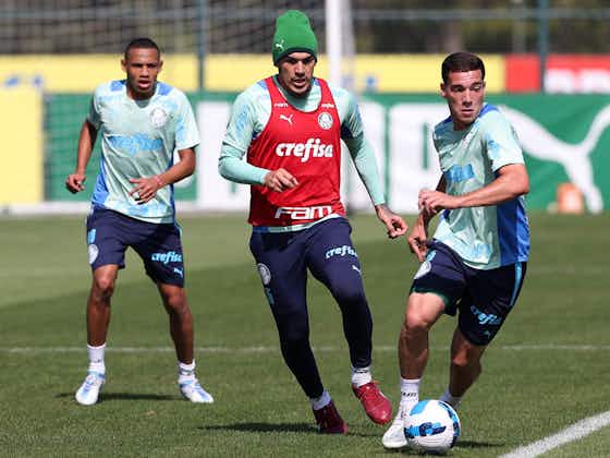 Imagem do artigo:Com Gómez em campo, Palmeiras treina após vitória de olho na Libertadores